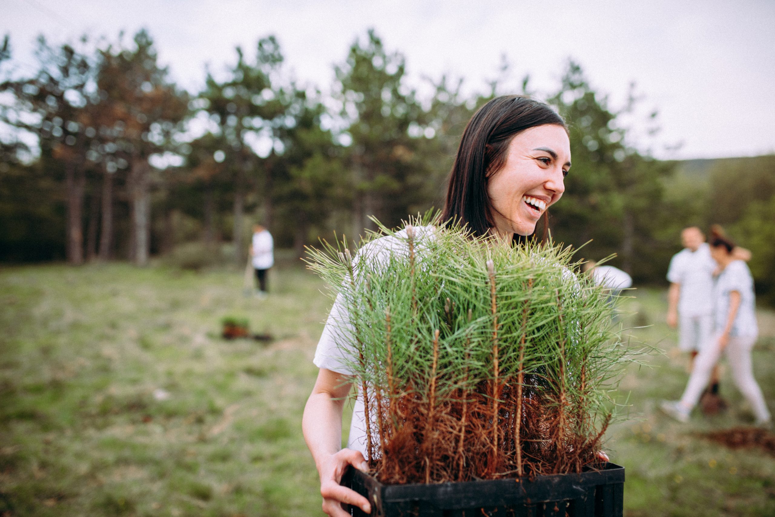 Woman take care of cypress plants